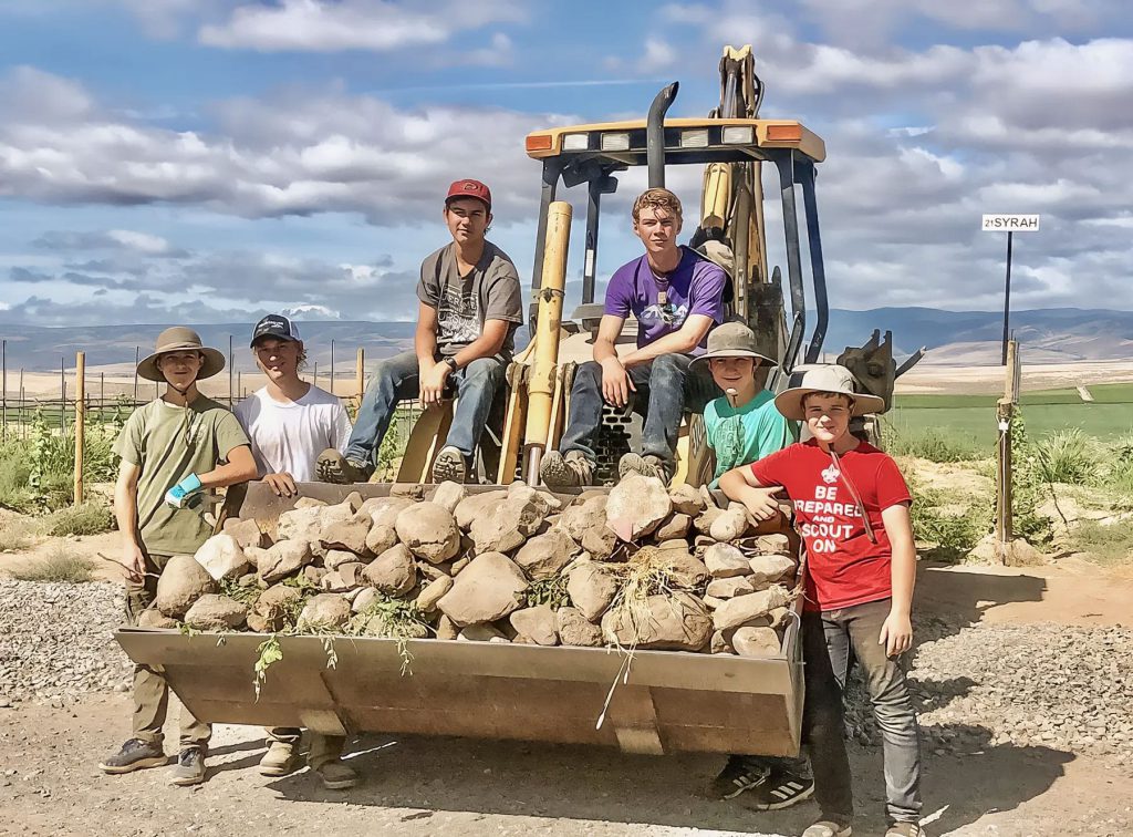 Teenage brothers and cousins, already hard at work on their family vineyard.